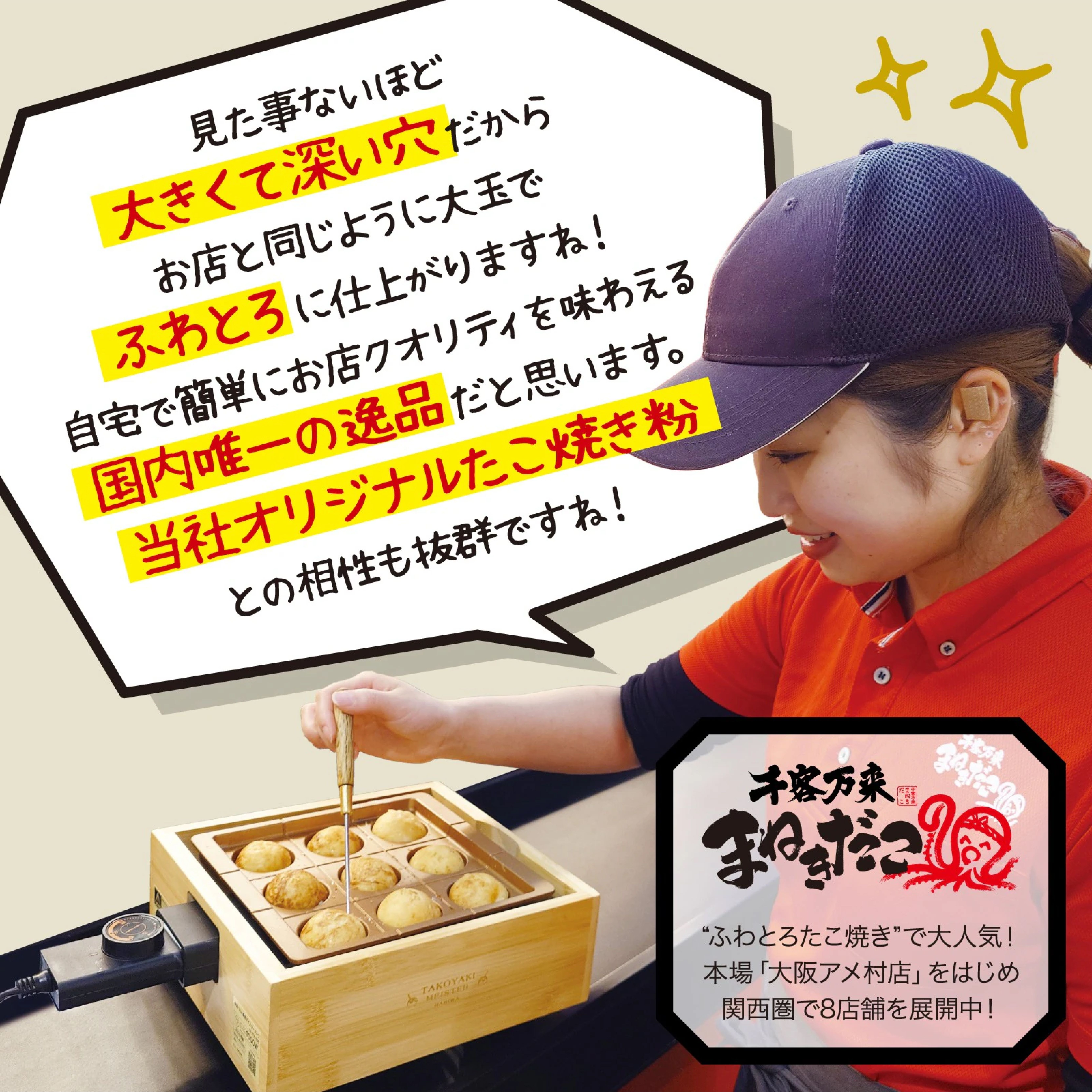 アピックス 感動!たこ焼きマイスター ATM-P8809